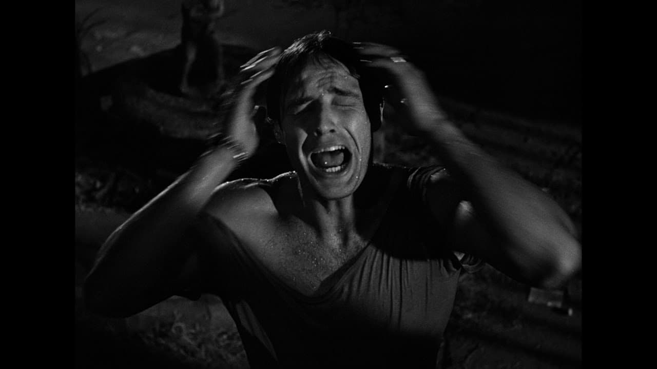 A Streetcar Named Desire trailer thumbnail