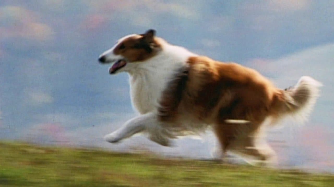Lassie : Des amis pour la vie trailer thumbnail