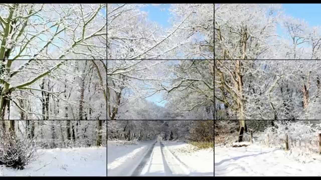Hockney trailer thumbnail