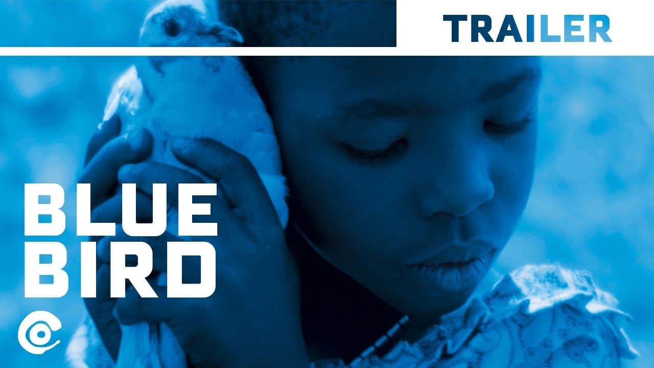 Blue Bird trailer thumbnail