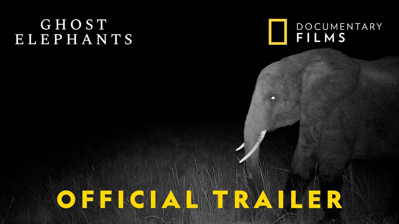 Ghost Elephants trailer thumbnail