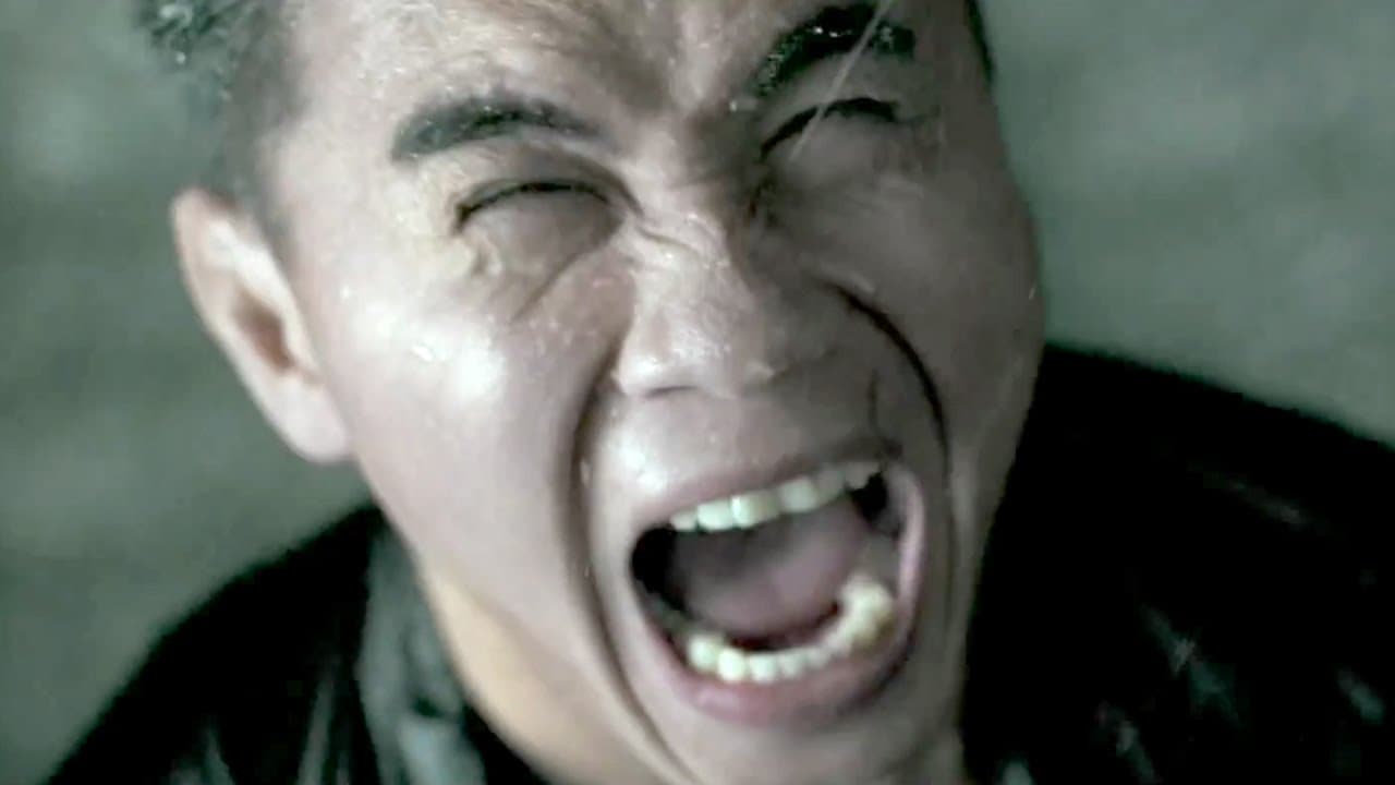 The Grandmaster trailer thumbnail