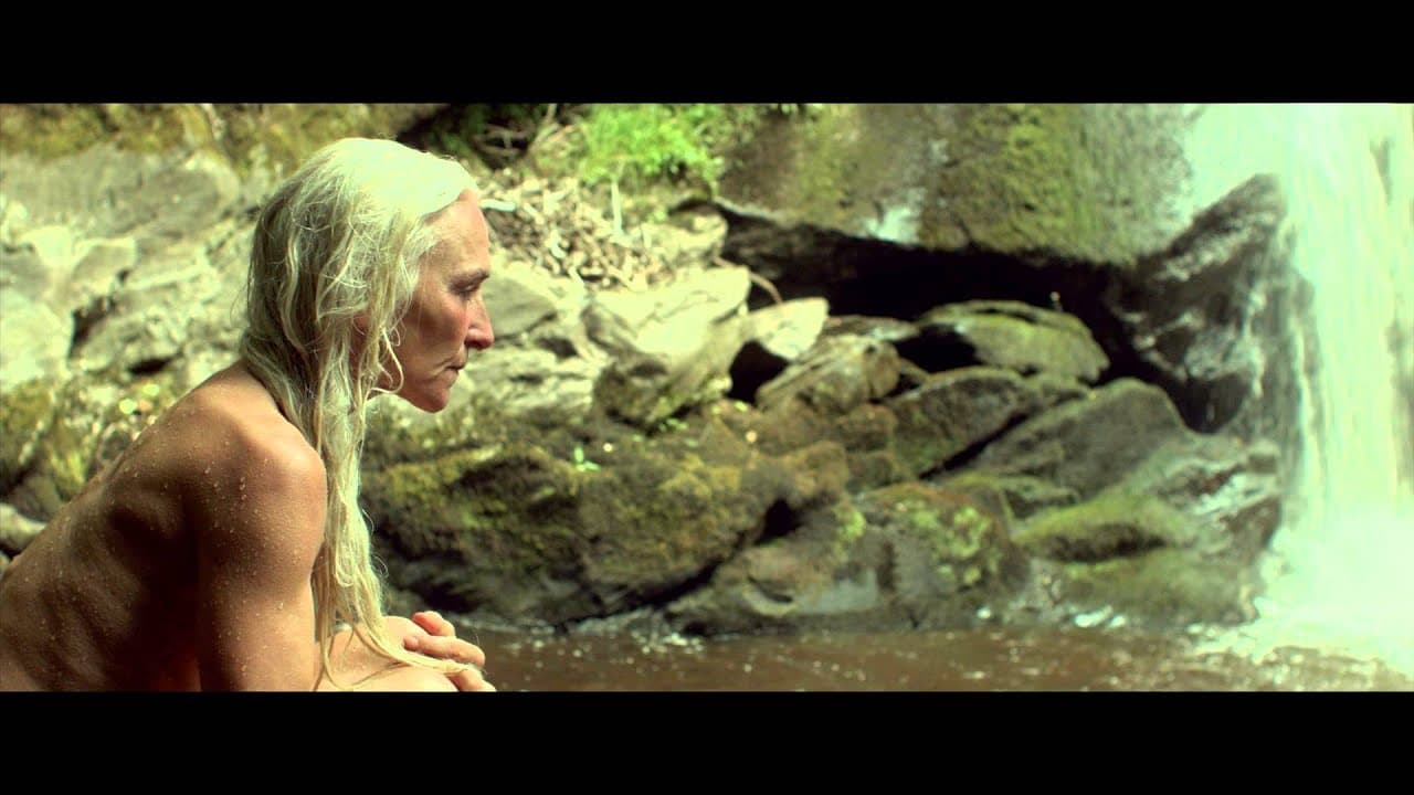 The Survivalist trailer thumbnail