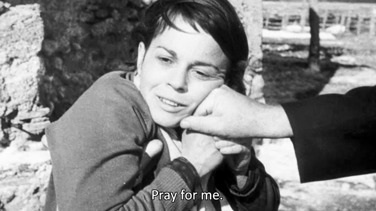 Il bidone trailer thumbnail