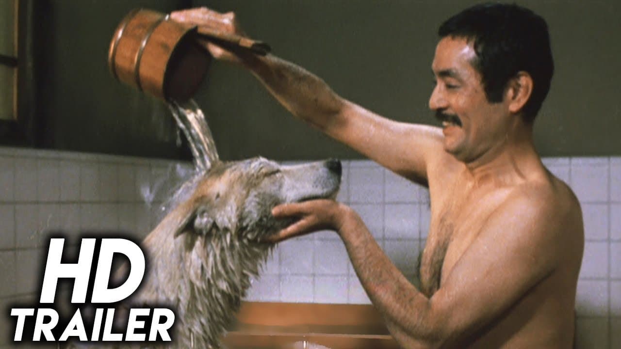 Hachiko, l'histoire vraie d'un chien fidèle trailer thumbnail