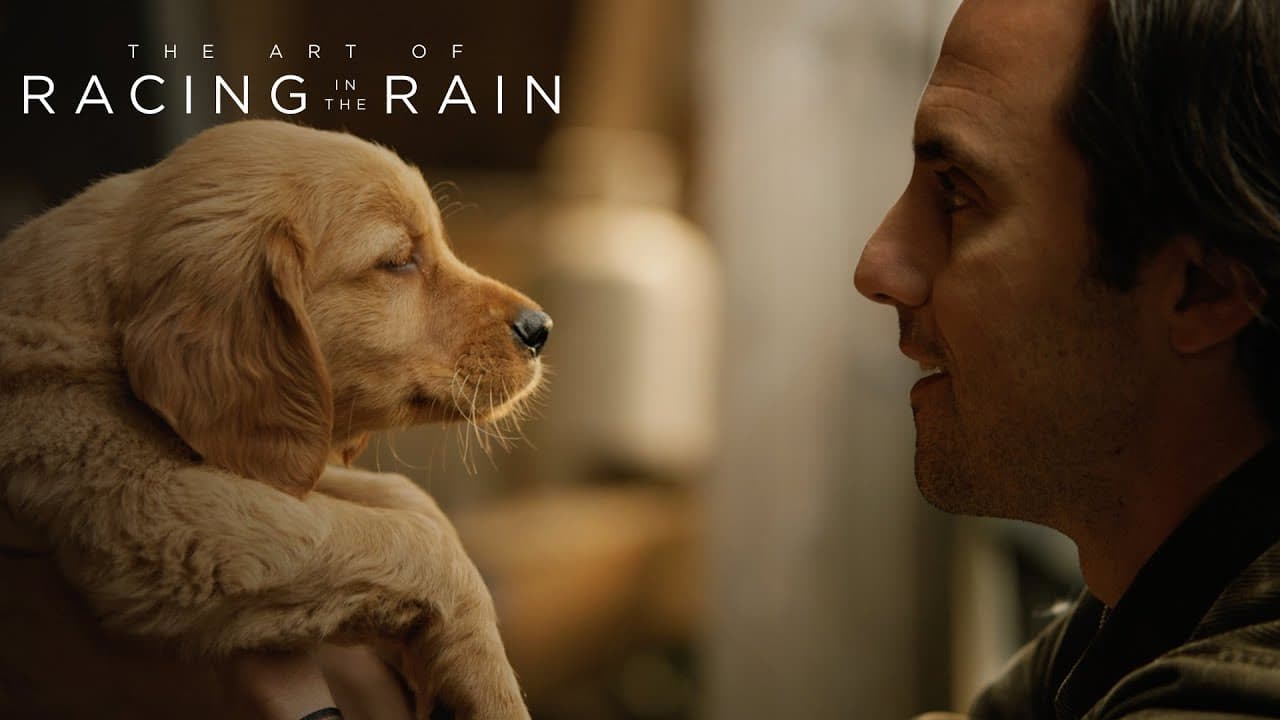 Dans les yeux d'Enzo trailer thumbnail