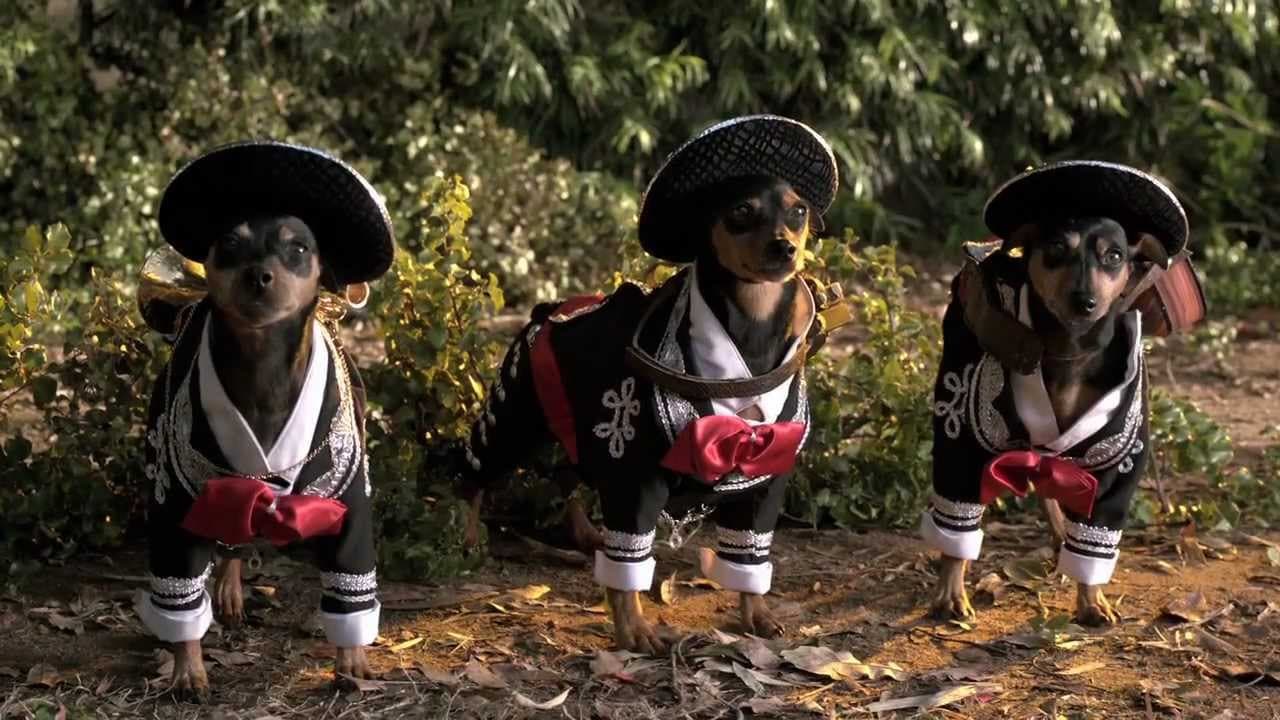 Beverly Hills Chihuahua 3: Laat Het Feest Beginnen! trailer thumbnail
