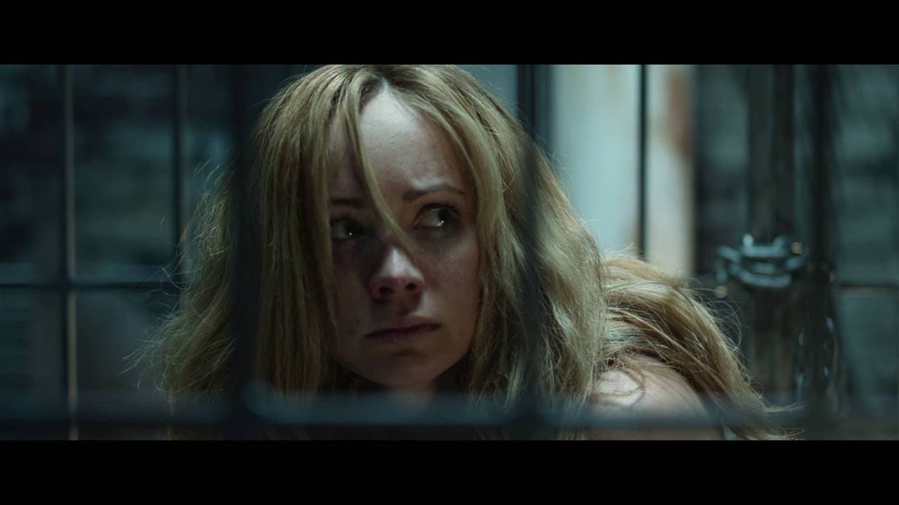 Pet trailer thumbnail