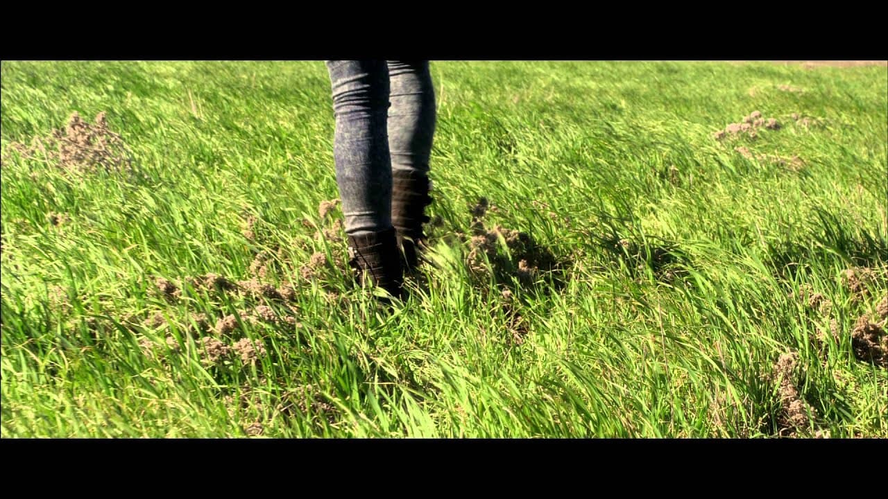 Coldwater trailer thumbnail