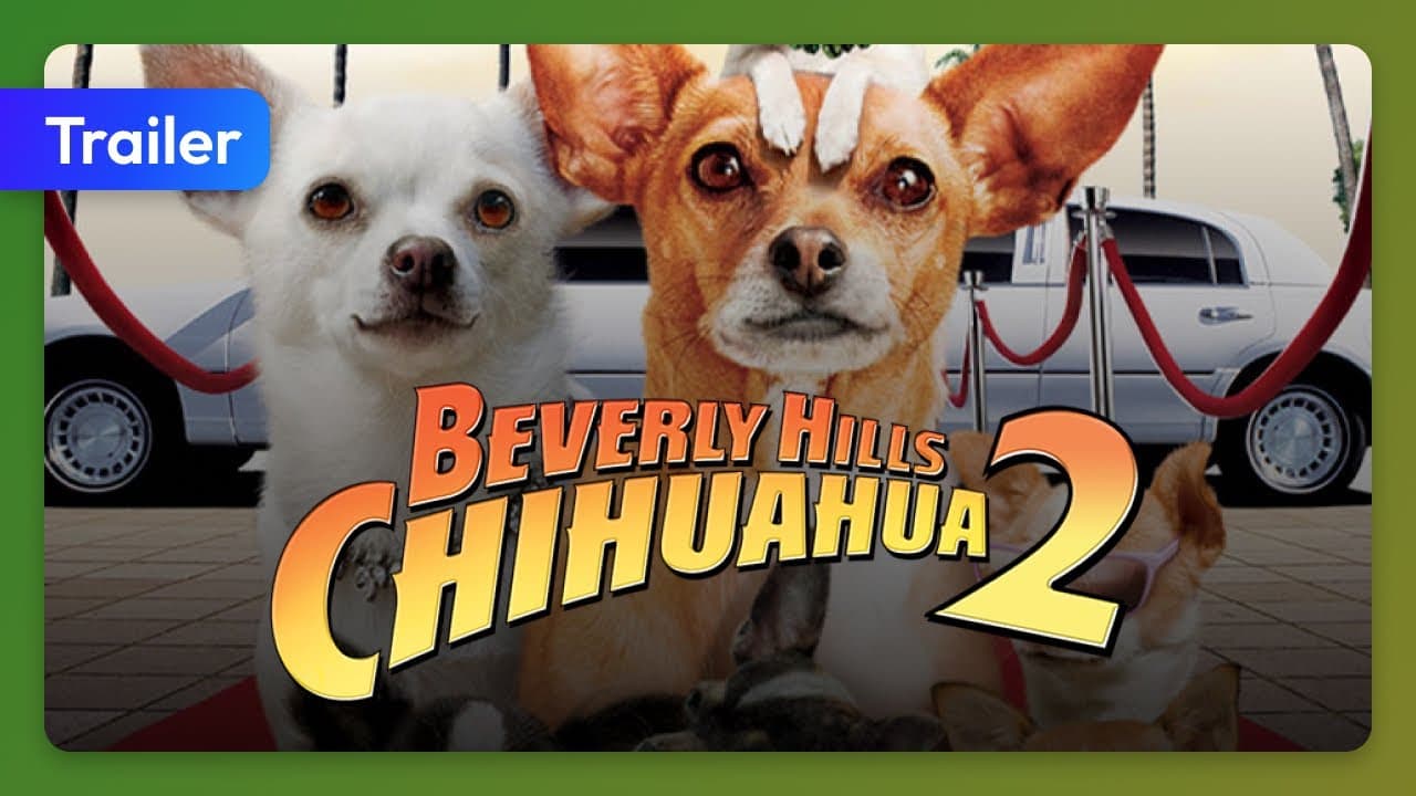 Beverly Hills Chihuahua 2 trailer thumbnail