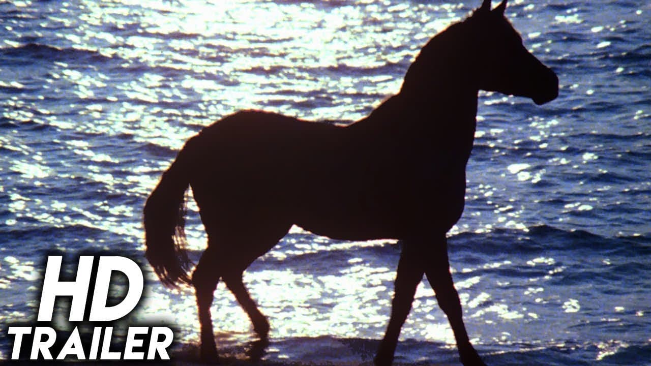 The Black Stallion trailer thumbnail