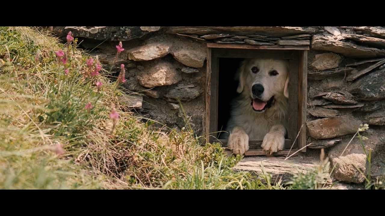 Belle en Sebastiaan trailer thumbnail