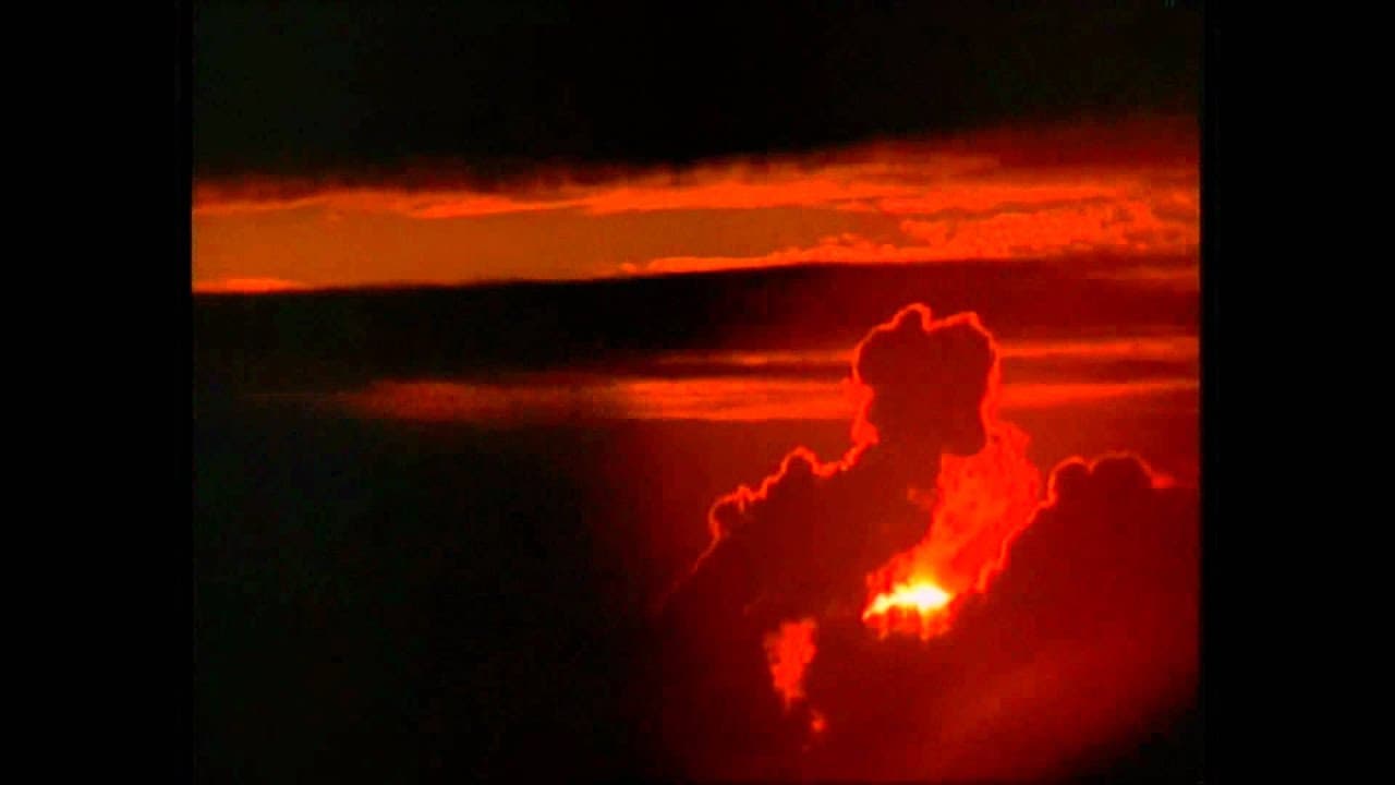 La nuit des chauves-souris trailer thumbnail