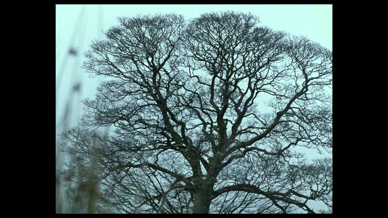 Wuthering Heights trailer thumbnail