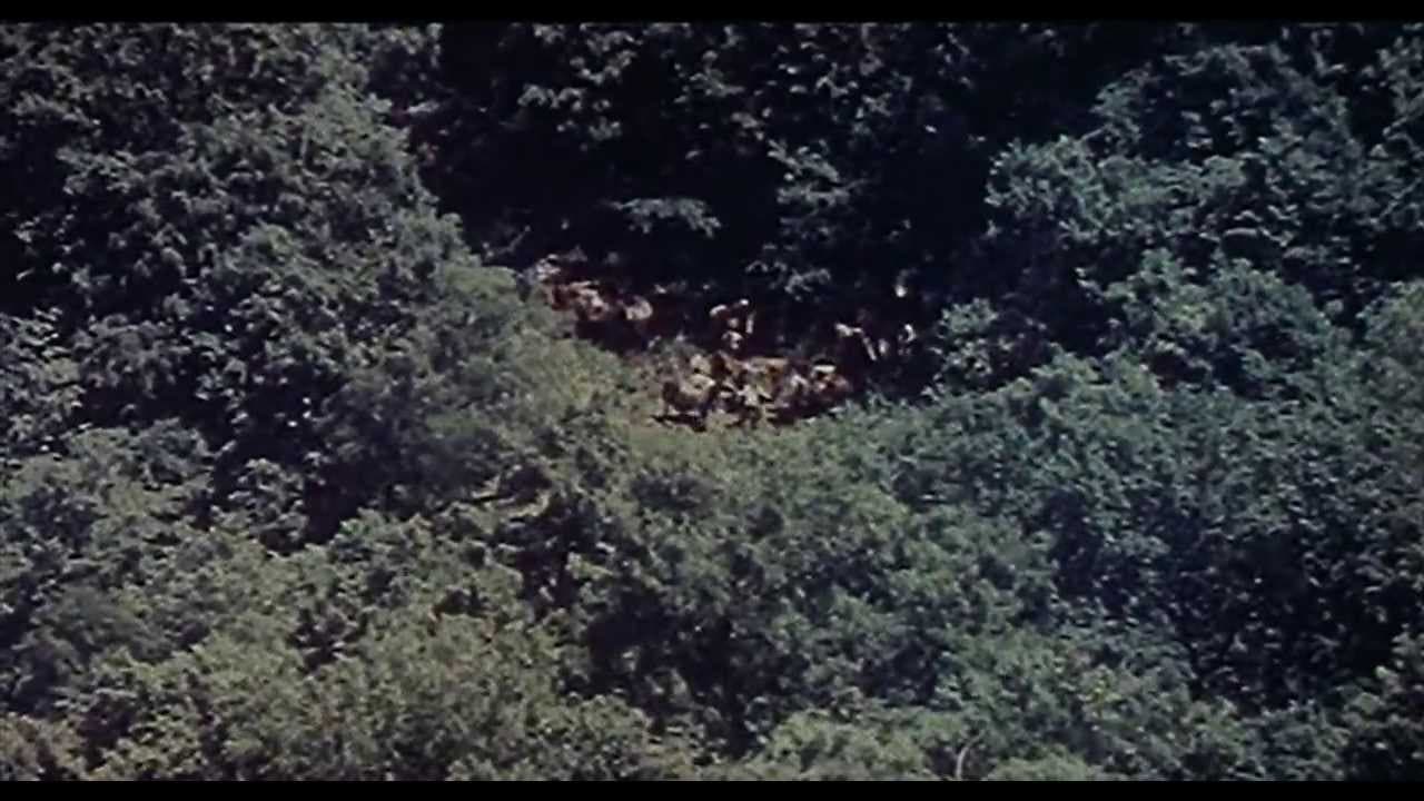 Dersou Ouzala trailer thumbnail