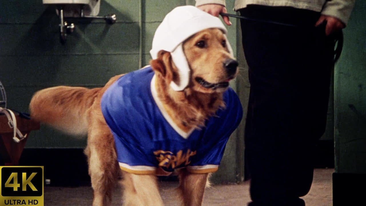 Air Bud 2 - Receveur étoile trailer thumbnail