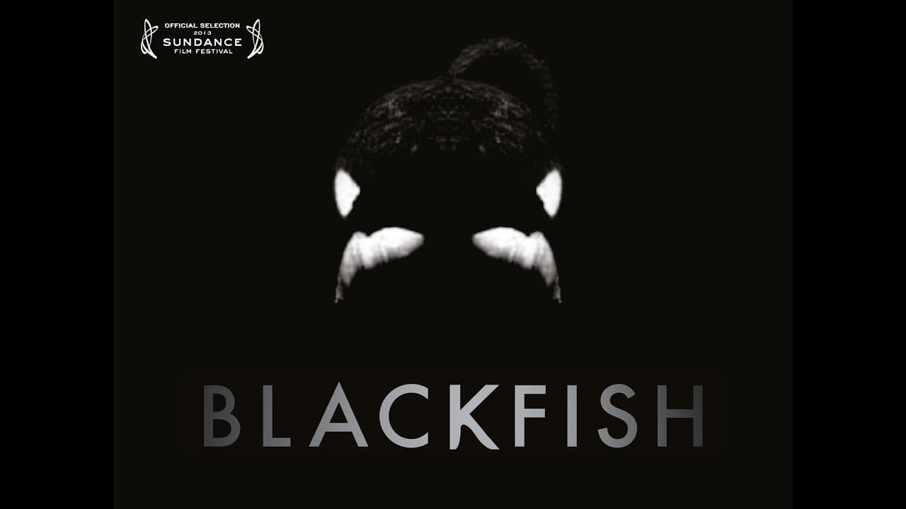 Blackfish trailer thumbnail