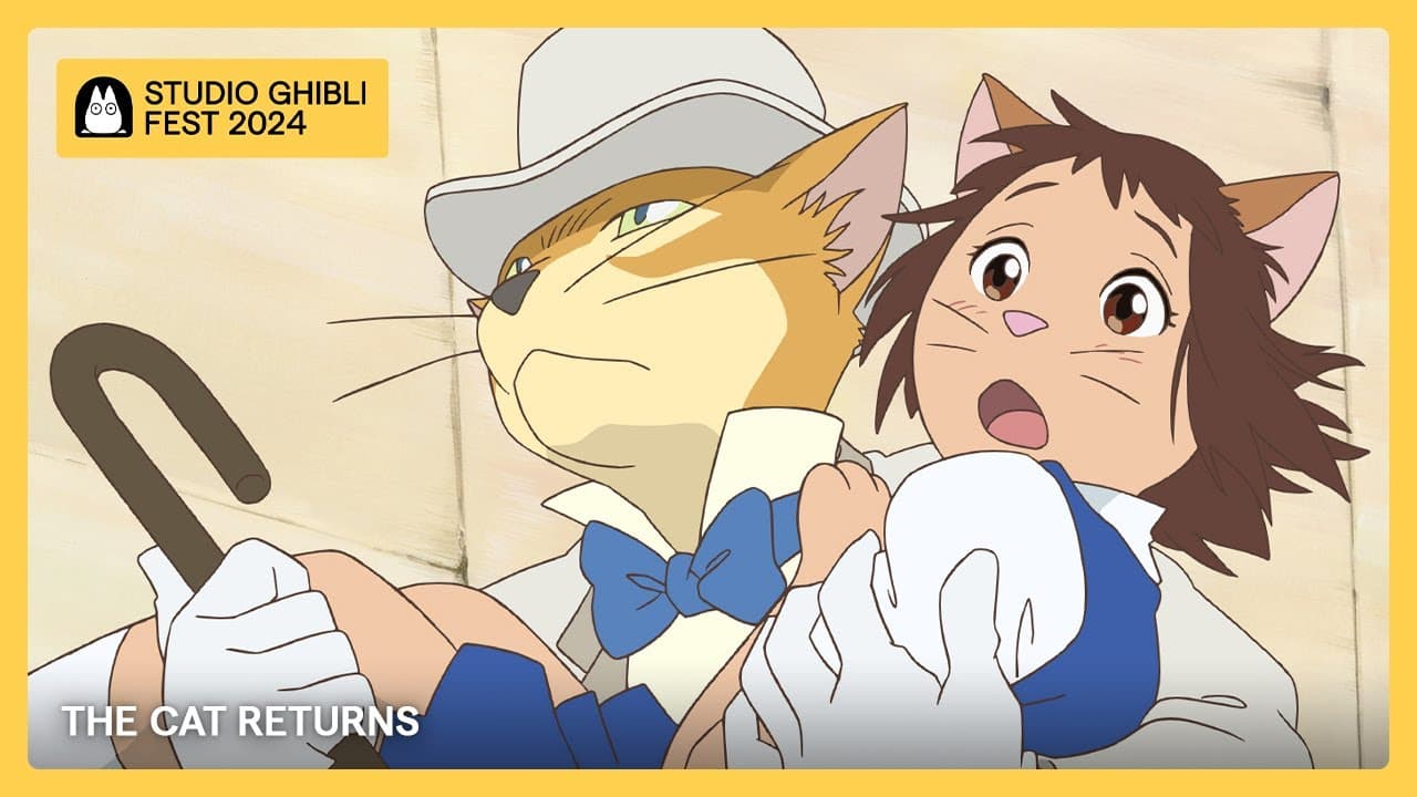 Le Royaume des chats trailer thumbnail