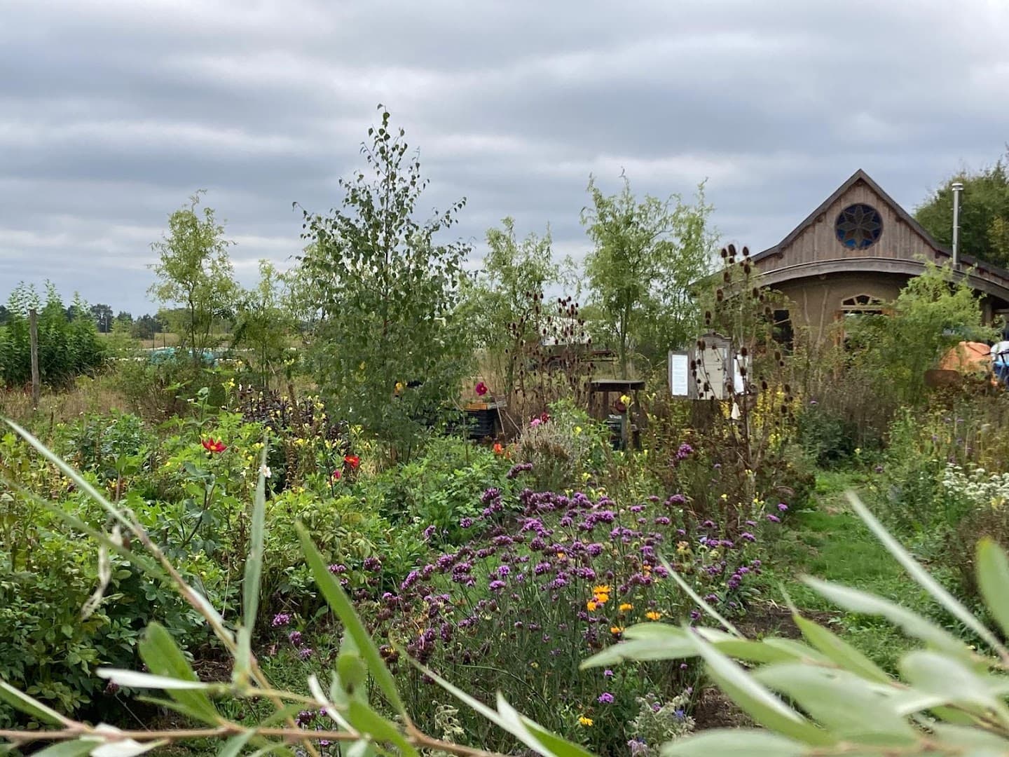 LDC Kruisbos backdrop