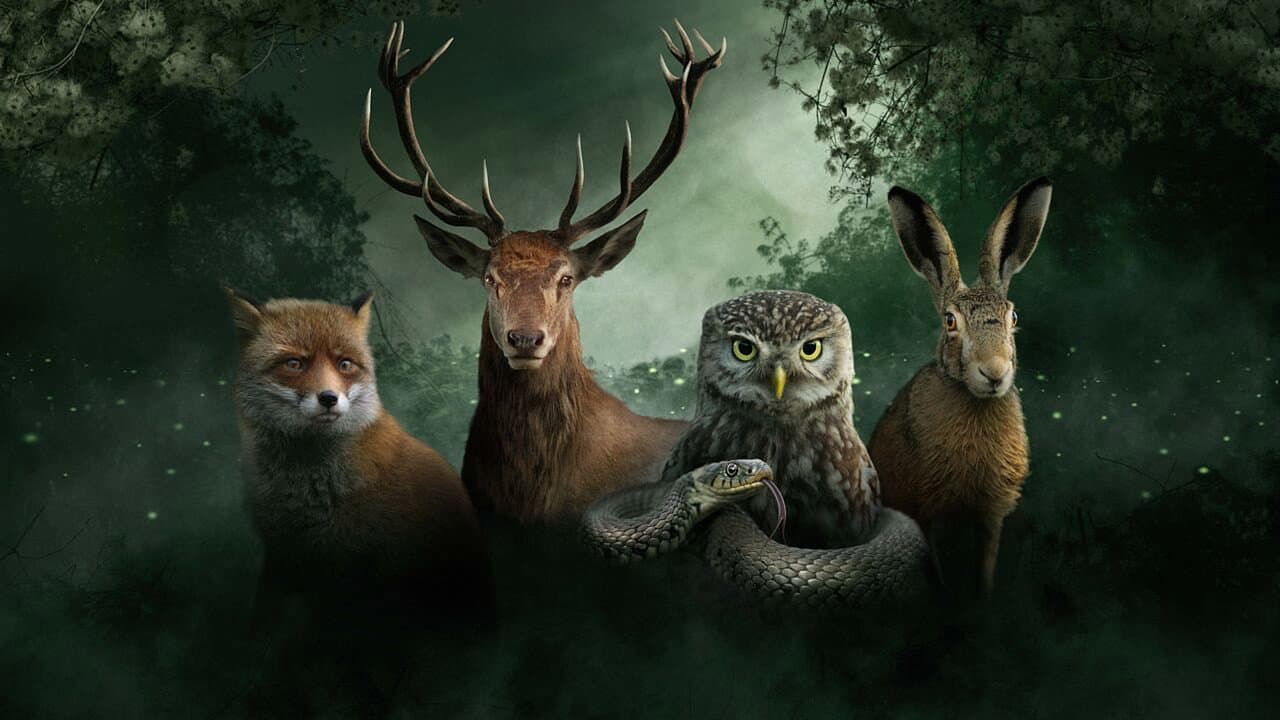 Onze Natuur, het Wilde België backdrop