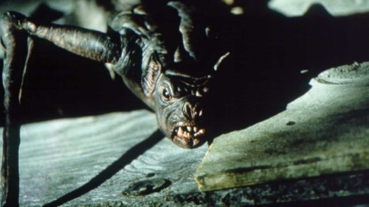 La nuit des chauves-souris backdrop